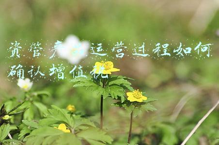 资管产品运营过程如何确认增值税