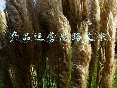 产品运营思路文案