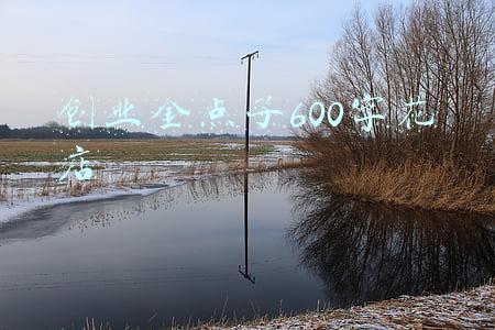 创业金点子600字花店
