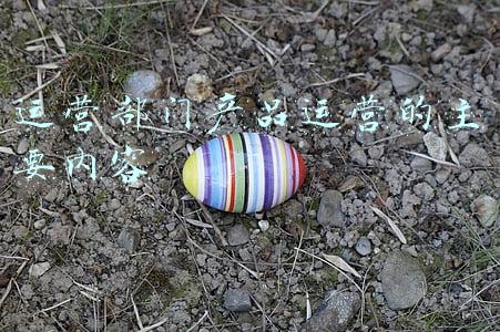 运营部门产品运营的主要内容