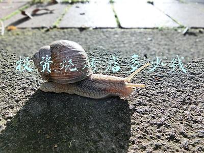 烧烤店投资需要多少钱，开烧烤店需要多少钱投资