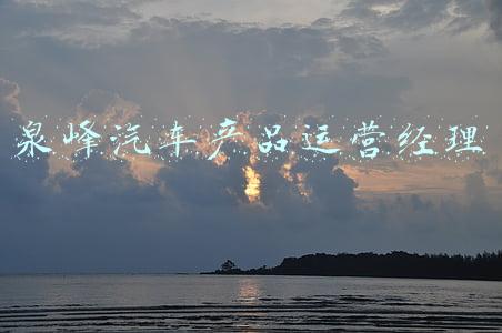 泉峰汽车产品运营经理