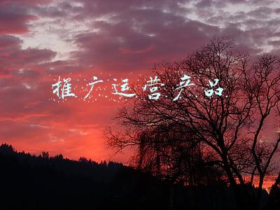 推广运营产品
