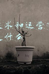 产品技术和运营有什么区别是什么