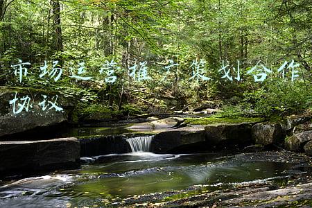 市场运营推广策划合作协议