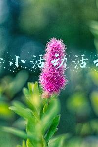 微信群活动策划方案(好热闹！今天这个大会“微信群”虎虎生威，快来看都聊了啥→)