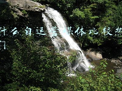 什么自运营媒体比较热门