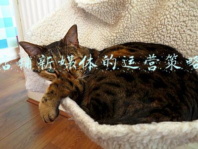 农产品新媒体营销策略(悄悄告诉你，农产品该怎么进行品牌营销升级呢？)