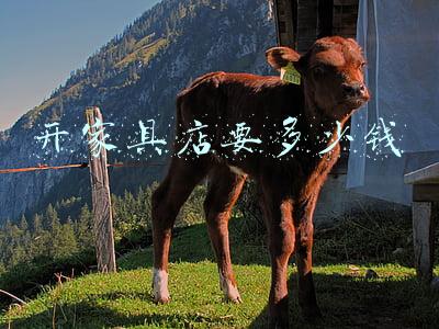 开一个家具店要多少钱；开一个家具店需要多少钱