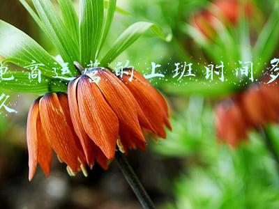 电商运营上班时间(15日上午！海量招聘岗位“职”等你来！)