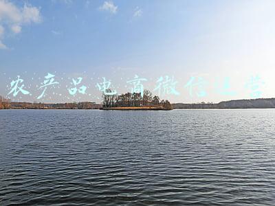 农产品电商微信运营方案(社交电商促进农产品销售对策研究——以拼多多为例)
