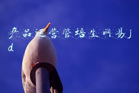 产品开发管培生(2020届京东管培生产品方向群面复盘)