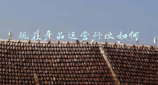 现在产品运营行业如何