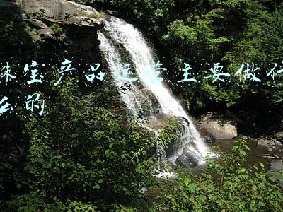 珠宝营销运营(品牌上行，终端下行：珠宝行业的营销突围方向在哪里？)