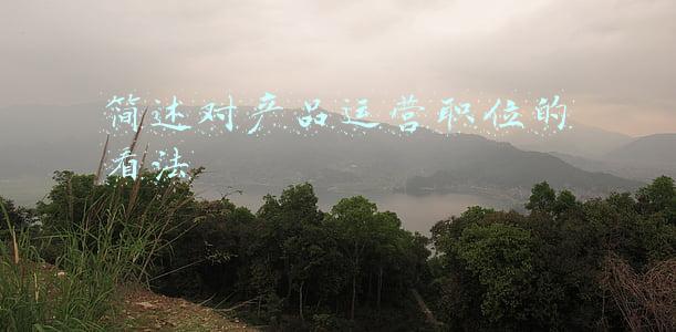 简述对产品运营职位的看法