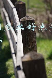 互联网 创新点子(互联网创业浪潮退去后，仍有7个创新机会)
