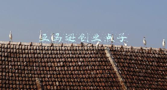 亚马逊创业项目计划书(从0到2000W的亚马逊创业笔记\u0026运营方法（1）)