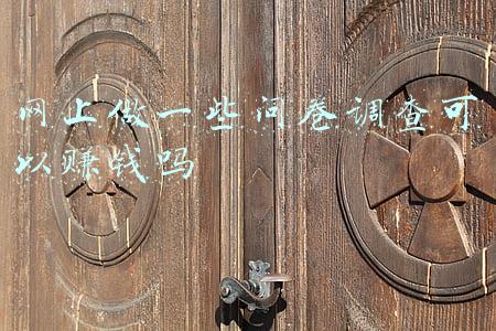 网上做一些问卷调查可以赚钱吗