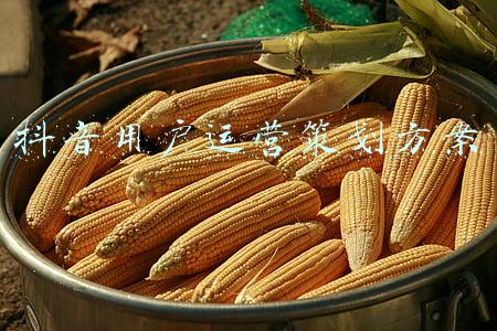 种子用户运营方案(干货分享：一套获取种子用户的完整运营方案)