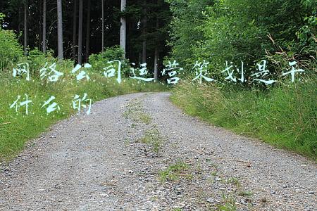 网络公司运营策划是干什么的