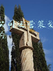 网络公司运营策划是干什么的