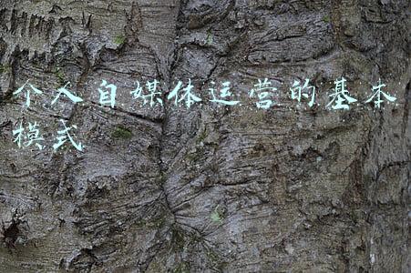 个人自媒体名字全集(账号注册不要急，起好名字可以收获更多粉丝！)