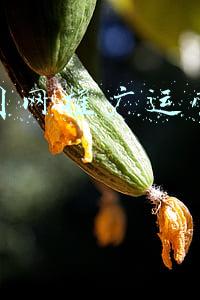 网上国网推广运营活动策划