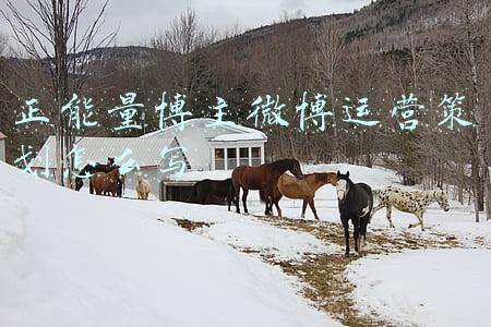 唐心蛋美妆博主微博(纯流量逻辑失效，新品牌面临大洗牌)