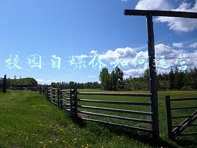 校园自媒体如何运营