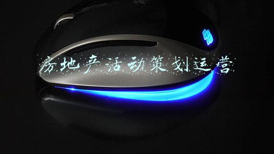 房地产活动策划运营