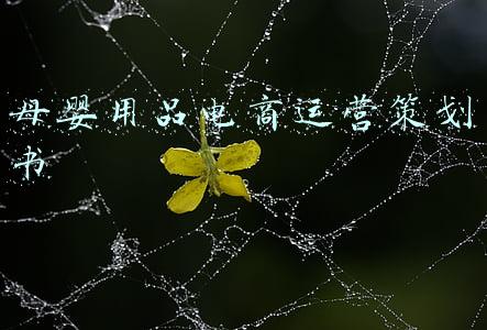 母婴用品跨境电商策划书(10年资深运营母婴店活动方案秘，照抄就行)