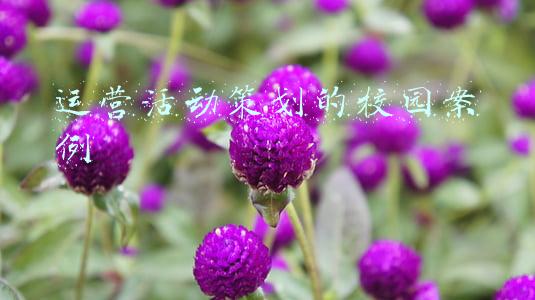 运营活动策划的校园案例