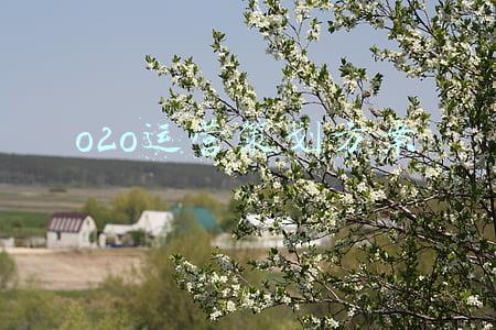 o2o运营模式(o2o的四种模式分别在哪几家企业上有所体现？)