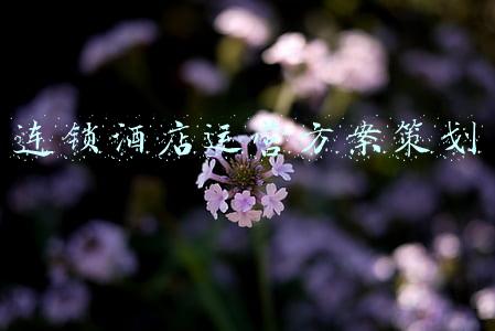 连锁酒店运营方案策划