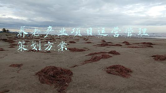 养老产业项目运营管理策划方案