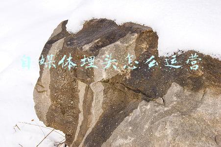 埋头螺母(你知道内六角半牙螺丝有哪些优点吗？)