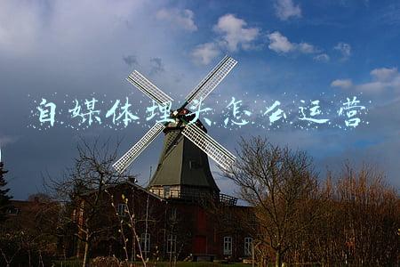自媒体埋头怎么运营