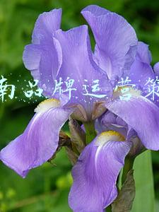河南品牌运营策划