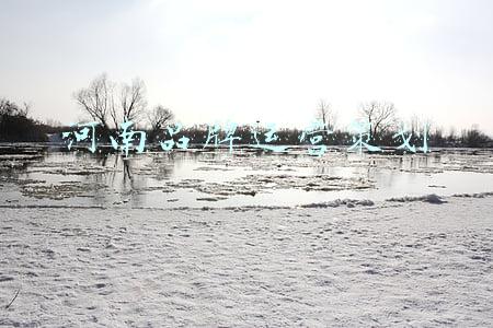 河南品牌运营策划