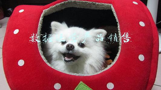 数据运营产品销售