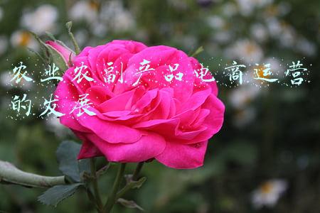 电商销售农产品的好处(电商对农产品和消费者的好处)