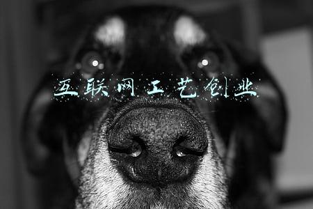 技术型创业(创业笔记：技术出身的人，该怎样创业？)