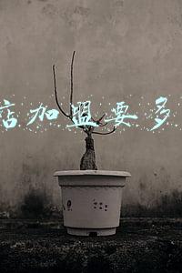 好多宝2元店加盟,好多宝2元店加盟官网
