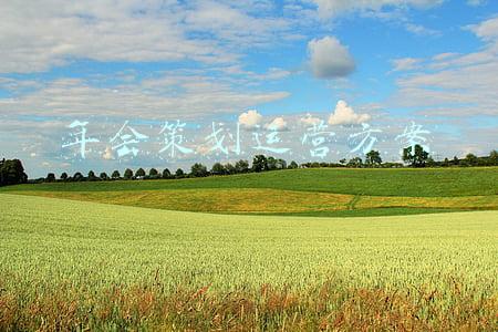 年会活动策划方案怎么做(企业年会策划)