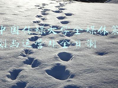 中国传媒大学全媒体策划与运营非全日制