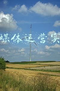 自媒体运营实例