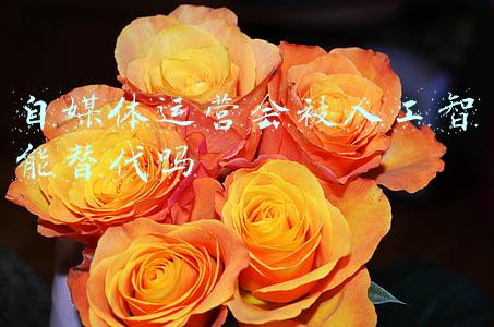 自媒体运营会被人工智能替代吗