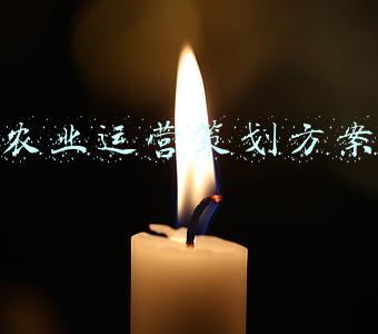 农业运营策划方案