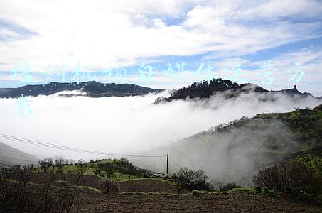 培训机构自媒体运营方案