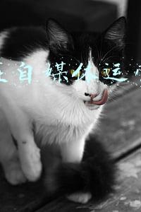 怎么在自媒体运营好东西